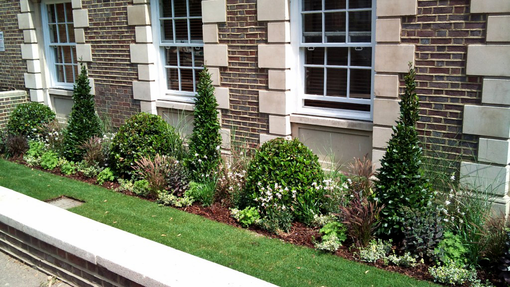 formal planting with grasses in front of london 1920 appartments